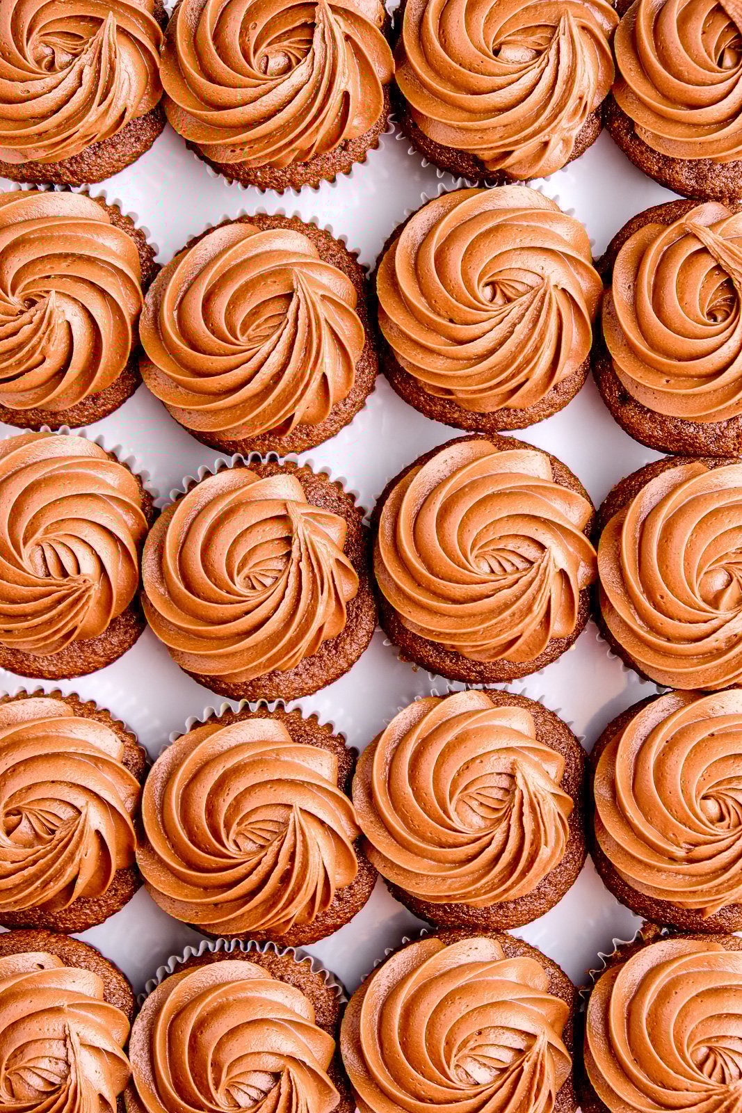 Frosted cupcakes shown from above.