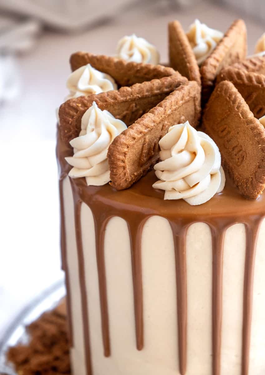 Lotus Biscoff Cake shown up close to see the drips 