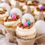 Mini egg cupcakes shown in an egg box with white candy eggs
