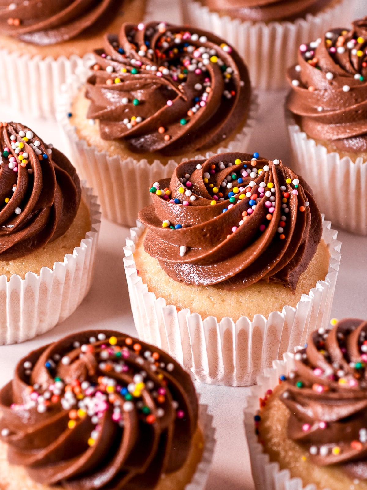 Vanilla cupcakes with chocolate frosting shown on a counter. They have been decorated with sprinkles.