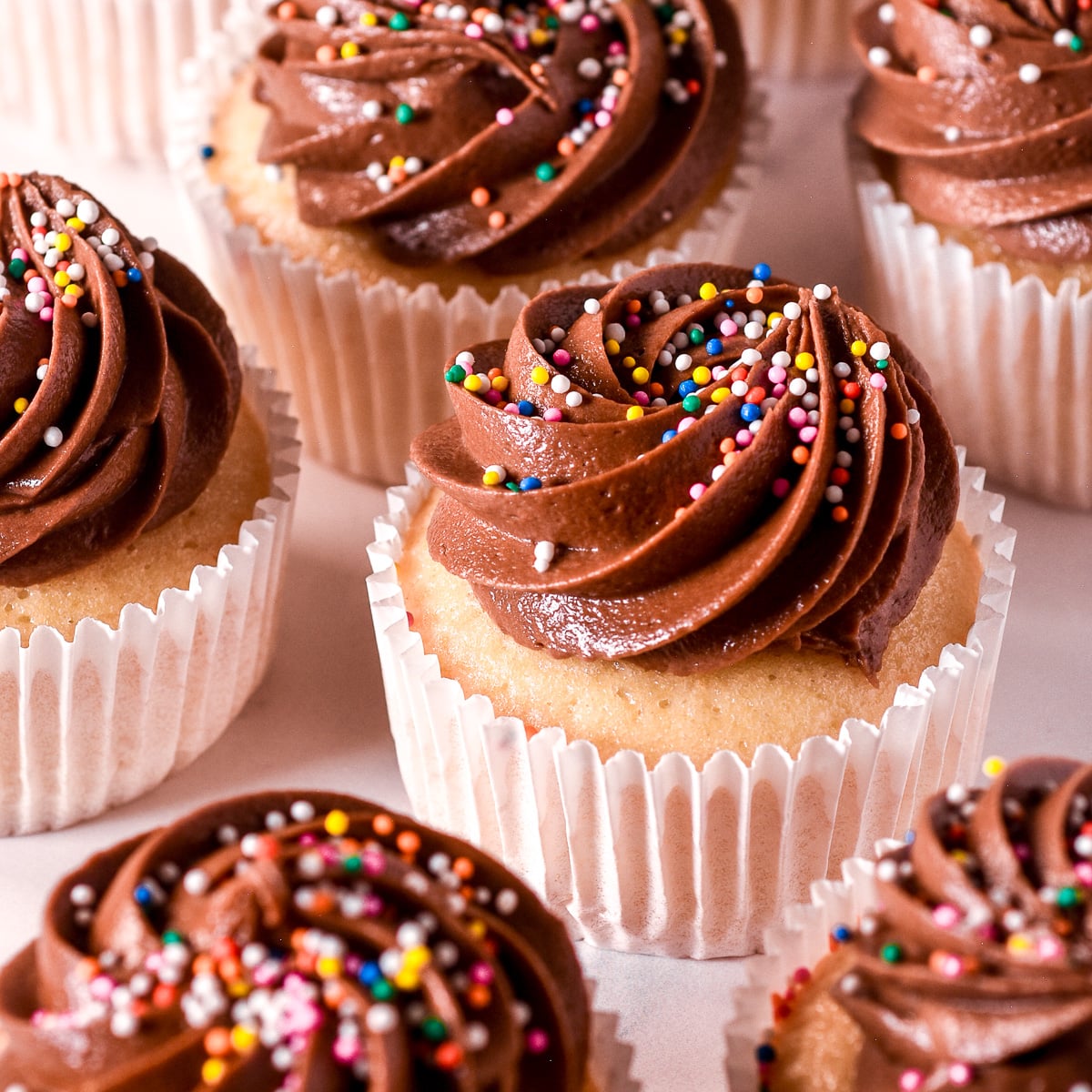 Vanilla cupcakes with chocolate frosting decorated with sprinkles shown on a kitchen counter.