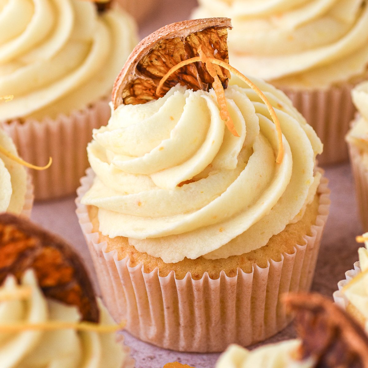 Orange cupcakes shown decorated and topped with dried slices of oranges.