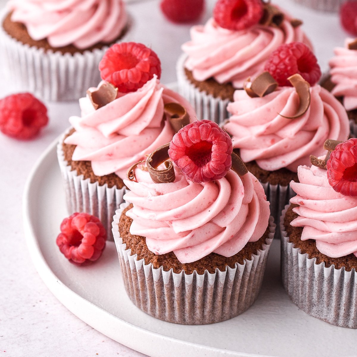Raspberry Chocolate Cupcakes decorated with curls of chocolate shown on a white plate.